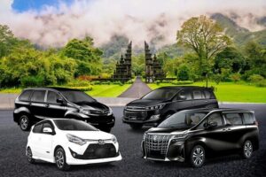 1-Day Private Bali Car Transfer With Experienced Driver - Price and time: what $17 per person buys you