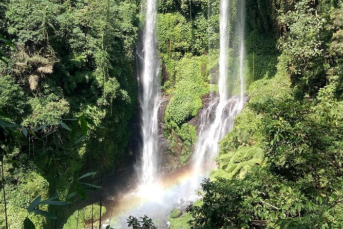 All Inclusive Sekumpul Waterfall Trekking , Handara Gate & Temple - Lunch and included drinks: what you get, and what to watch for