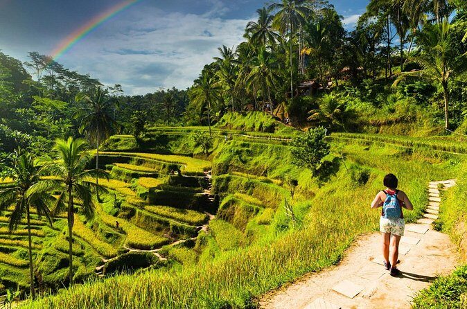 Bali Cultural Experience - Who should book this Bali Cultural Experience?