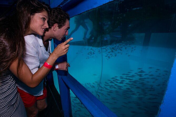 Bali Hai - Reef Cruise - Food and included extras that keep the day comfortable