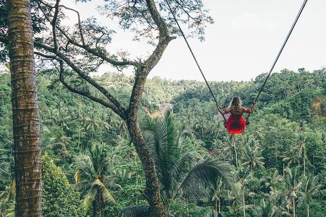 Bali Instagram Tour from Your Hotel (Private & Full-day) - Cave Waterfalls: Tukad Cepung and Kanto Lampo’s dramatic rock circles