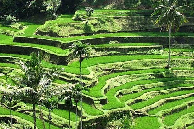 Bali Instagram Tour : The Most Popular Spots In Bali - Price and value: why $62 can work (and when it won’t)