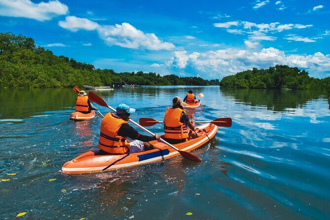 Bali Mangrove Canoeing Tour - Practical Tips for a Smooth Canoe Day