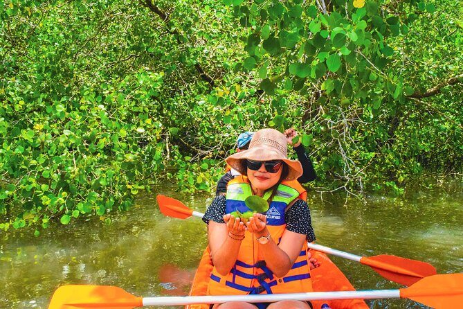 Bali Mangrove Canoeing Tour - From Hotel Pickup to PT JTB Indonesia Office Briefing