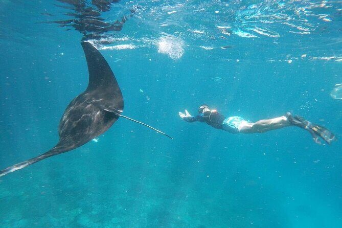 Bali Nusa Penida and Private Snorkeling (Manta Bay, Gamat, Wall) - Key takeaways before you go