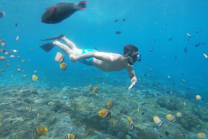 Bali Nusa Penida and Private Snorkeling (Manta Bay, Gamat, Wall) - Manta Bay, Gamat Bay, Wall Bay Point: how the snorkeling day is paced