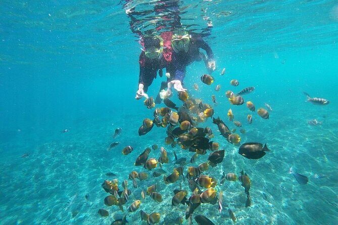 Bali Nusa Penida and Private Snorkeling (Manta Bay, Gamat, Wall) - Price and value for $145: what’s included, what you should plan for