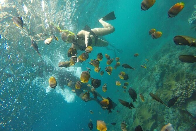 Bali Nusa Penida and Private Snorkeling (Manta Bay, Gamat, Wall) - Who should book this Nusa Penida day (and who should rethink it)