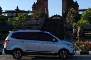 Bali Private Chartered Service - Price and logistics: what $38 really buys you