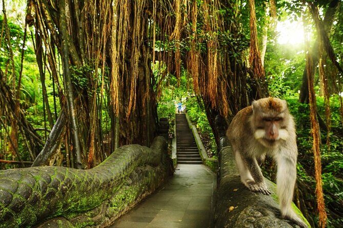 Bali Private inclusive tour: Best of Ubud in a Day - Stop 5: Ubud Traditional Art Market plus a quick palace connection