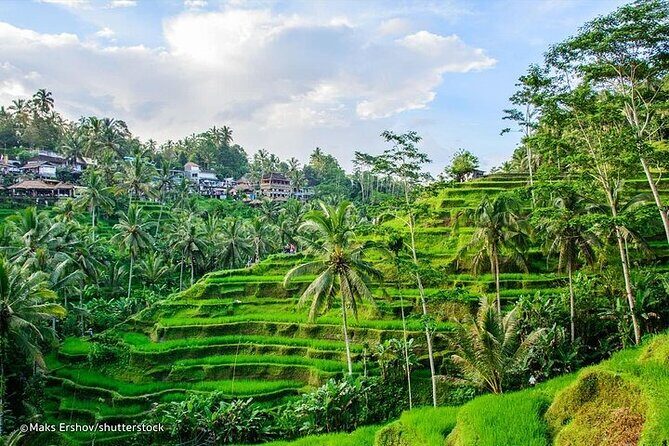 Bali Private inclusive tour: Best of Ubud in a Day - The Jimbaran pickup and the AC car factor