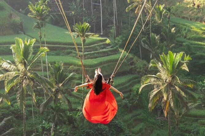 Bali private Shore Excursion from Benoa Port - All Inclusive - Lunch with a rice-field view at D Alas Warung