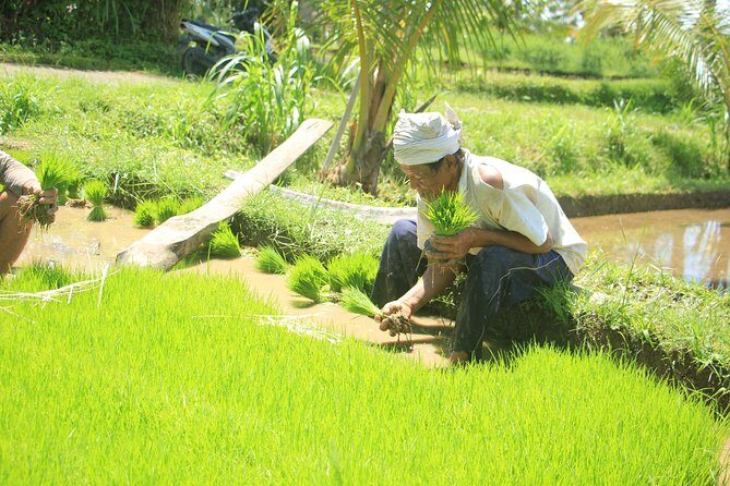 Bali Quad and Buggy Discovery Tour, Including Round-Trip Transfer - Hot Showers, Lockers, and What to Pack