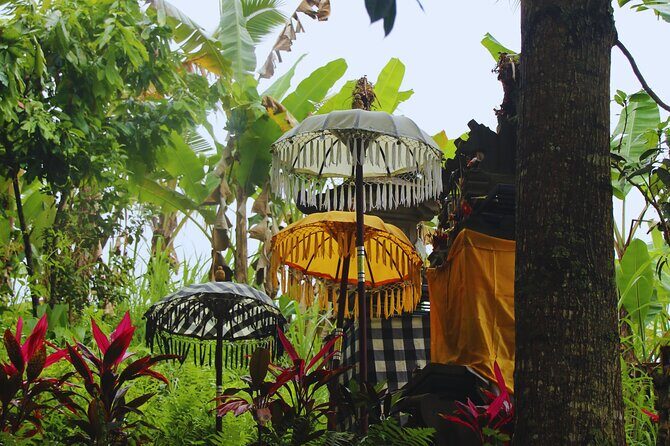 Bali Spiritual: Blessing Ceremony, Pristine Nature and Transfer - Key Things to Know Before You Go