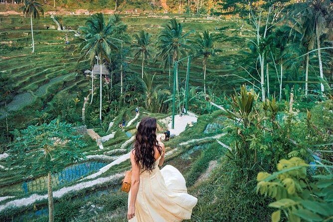 Bali Tour : Best Attractions in Ubud with Rice Terrace - Sacred Monkey Forest Sanctuary: temple walls and very bold monkeys