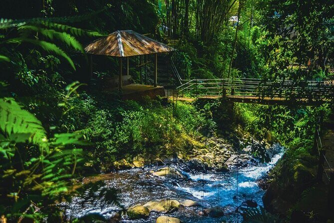 Bedugul and Singaraja Tour - Munduk Village and Twin Lakes Views