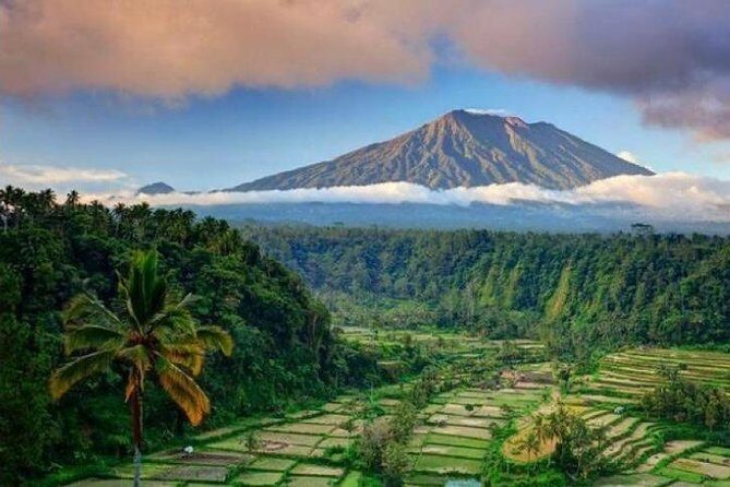 Best bali transport service - custom your own itinerary - Key highlights that matter on the ground
