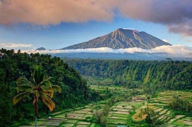 Best bali transport service - custom your own itinerary - Group size and luggage: who this fits best