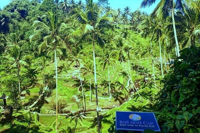 Best bali transport service - custom your own itinerary - Included vs not included: budgeting so you’re not surprised
