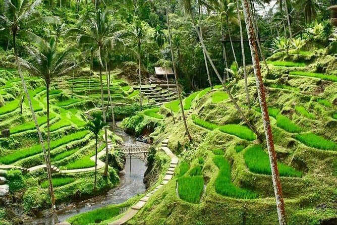 Best of Ubud Full Day Private Guided Tour - Celuk Village silver craft: see Bali’s hands at work