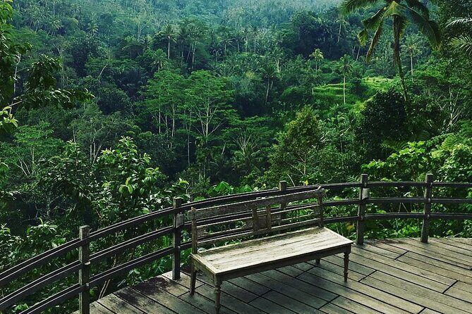 Best of Ubud: Rice Terrace, Temple and Waterfall Private Tour - The Temple Circuit: Ubud Palace, Sacred Springs, Carvings, and Old Stones