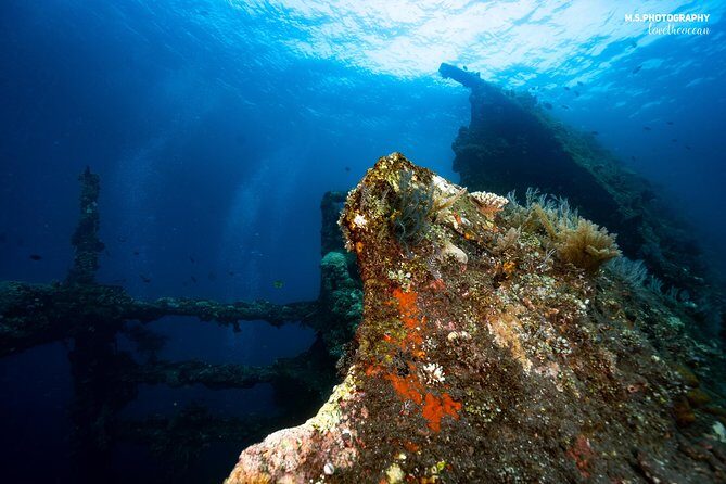Day Trip certified divers - 3 Dives in Tulamben (pick-up & drop-off included) - A Private Instructor Feel: What That Means Underwater