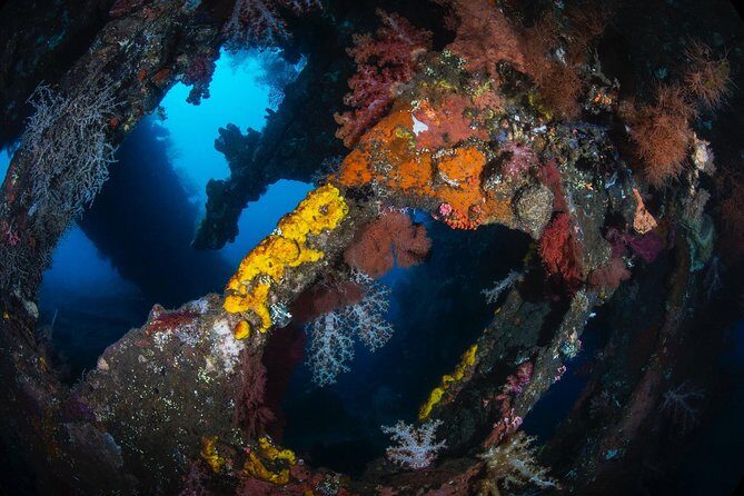 Day Trip certified divers - 3 Dives in Tulamben (pick-up & drop-off included) - Gear Up at the Tulamben Center: Facilities That Save the Day