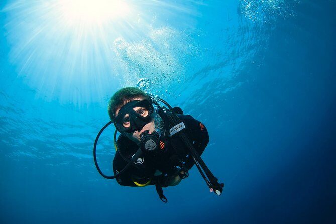 Discover Scuba Diving in Pemuteran - Diving Initiation in Bali (Menjangan Park) - Time and logistics: plan your half-day, not just a quick trip