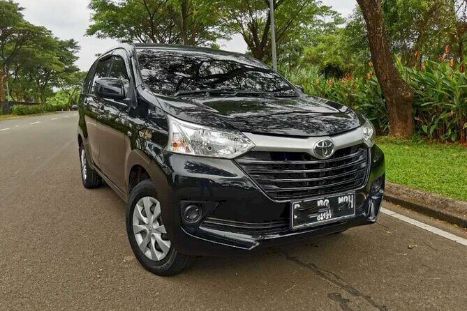 Experience The Real Bali, With Your Own Bali Private Car And Driver - Price and what you really get for $50