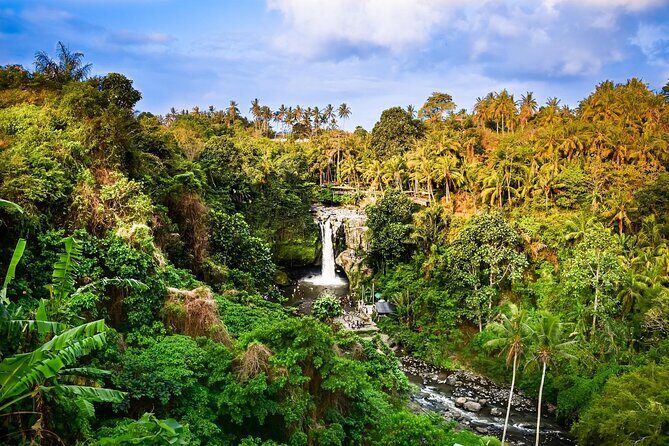 Full-Day Highlights and Best of Ubud Village - Tegenungan Waterfall With Tickets Included (and Steps to Earn the View)