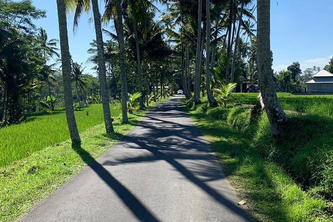 Individual Bali Day Trip with Private Driver and Free WiFi - Western Bali coast and city-life stops: Tanah Lot, Sanur, Seminyak, and Canggu