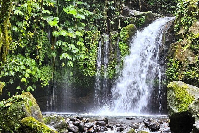 Jungle Trekking at Mt. Batukaru, scenic Waterfall & village life - Key points before you go