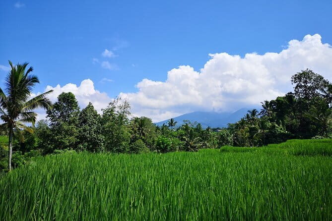 Jungle Trekking at Mt. Batukaru, scenic Waterfall & village life - Why Mt. Batukaru Jungle Trek Feels Like a Real Day in the Mountains