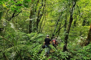Jungle Trekking at Mt. Batukaru, scenic Waterfall & village life - Getting to the Mountain: Sanur Pickup and Countryside Views
