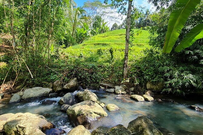 Jungle Trekking at Mt. Batukaru, scenic Waterfall & village life - Luhur Batukaru Temple: Blessings Before the Forest Walk