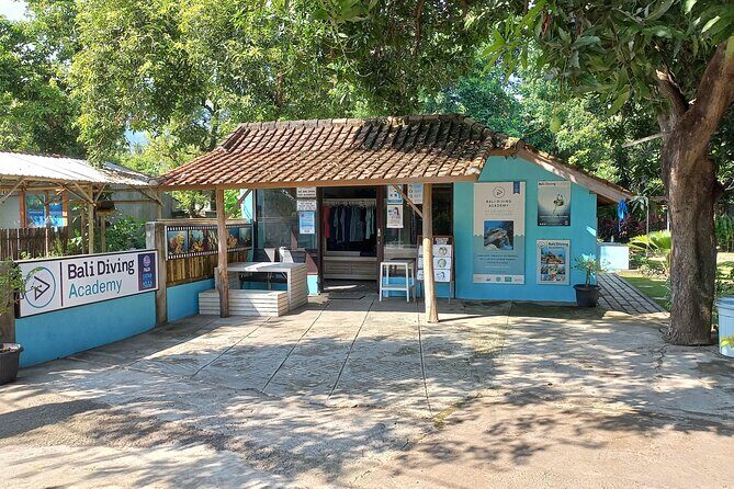 Menjangan island snorkeling full day boat trip - What’s included: a day that doesn’t waste your energy