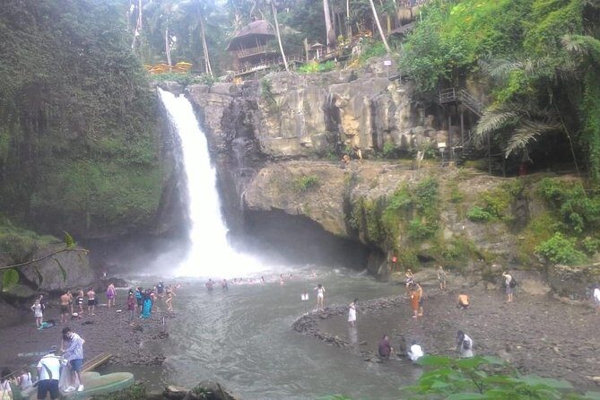 Monkey Forest, Ubud, Waterfall and Rice Terrace - Uma Pakel Agro Tourism: Coffee Luwak Education in Ubud