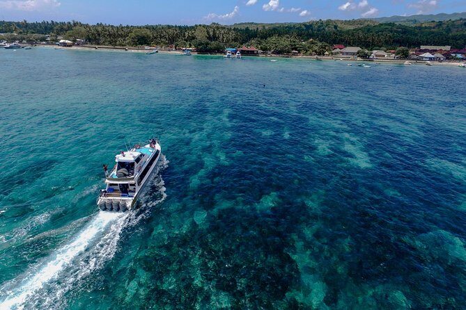 Nusa Lembongan Island: Snorkeling & Mangrove Forest Day Tour - Price and Logistics: Is $143 a Good Deal?
