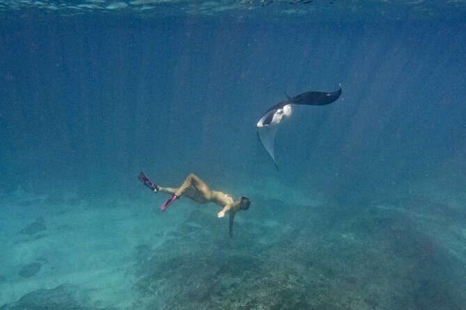 Nusa Penida day trip: boat, 4 snorkeling, Manta rays & Land tour - Why this Nusa Penida plan works when you have one day