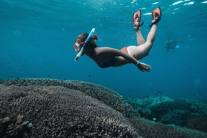 Nusa Penida day trip: boat, 4 snorkeling, Manta rays & Land tour - Mangrove Point and SD Point: your first snorkeling chances on calmer timing