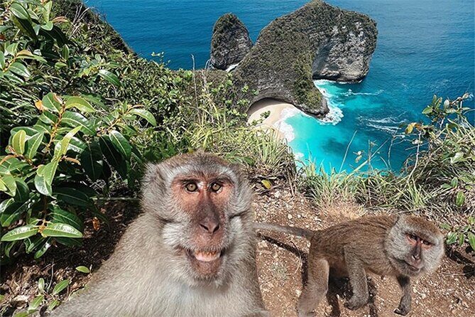 Nusa Penida day trip: boat, 4 snorkeling, Manta rays & Land tour - Kelingking Cliff by car: the iconic photo stop without the full hike stress