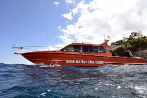 Nusa Penida Day Trip for 3 dives - The morning run-up: 7:00am pickup and the Sanur base