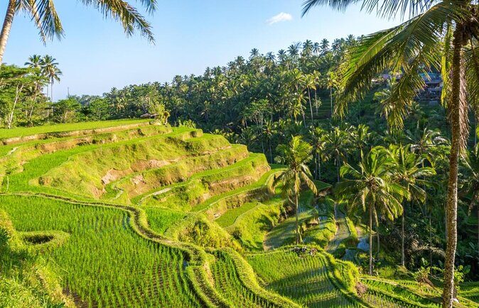 Private 3-day Tour Package: Bali's Top Sights - Key things to know before you go