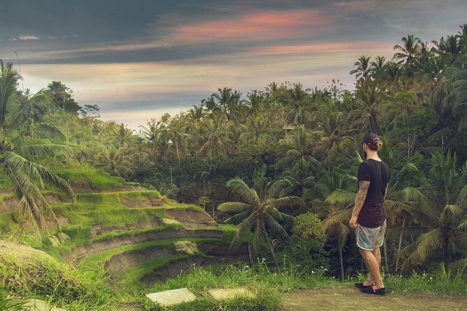 Private Full-Day Bali Tour - Choosing your own landmarks: what to tell your driver-guide
