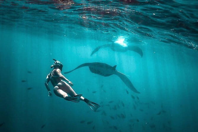 Private Sightseeing Northern East Bali All inclusive - Virgin Beach: a white-sand swim break between cliffs