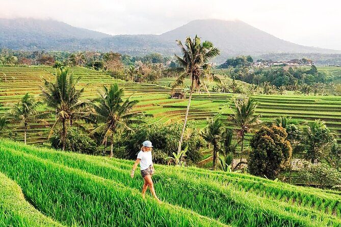 Private Tour: Bali UNESCO World Heritage Sites - Jatiluwih Rice Terraces: the walking-view payoff