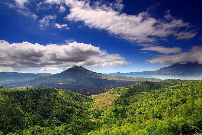 Private Tour - Ubud Kintamani Tours - Quick hits you’ll feel in the day