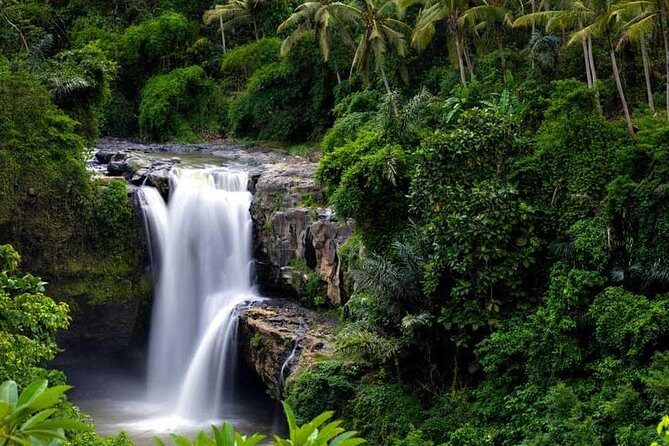 Private Tour - Ubud Kintamani Tours - The real value: a private route between Ubud and Kintamani