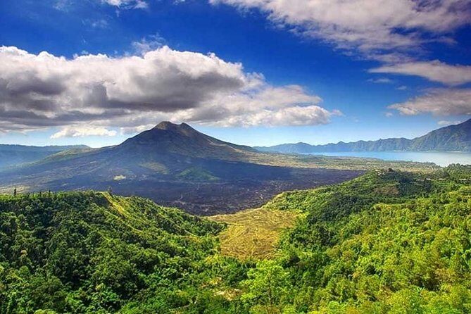 Private Tour - Ubud Kintamani Tours - Start with Barong & Kris: a 40-minute story of good vs evil