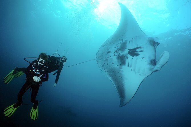 Scuba Diving Nusa Penida Manta Point 3 dives for certified divers - Sanur to Nusa Penida: getting there in one long, practical morning
